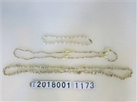 藏品(貝殼串珠項鍊)的圖片