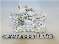 藏品(海洋造型貝殼拼貼擺飾品)的圖片