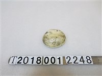 藏品(貝殼製紀念幣)的圖片