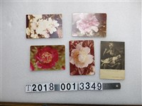藏品(花朵照片婦人明信片組)的圖片