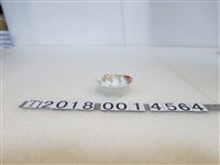 藏品(陶瓷製余紀除隊紀念杯)的圖片