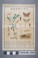 藏品(臺灣總督府殖產局茶樹六種害蟲圖海報)的圖片