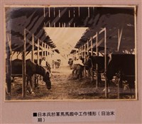 藏品(日本兵於軍馬馬廄中工作情形拍攝照片)的圖片