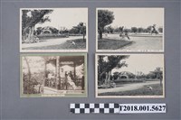 藏品(臺灣茶相關風景明信片)的圖片