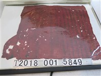 藏品(王必成立紅書甘願賣乳哺字)的圖片