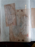 藏品(發芽權價格算定基礎)的圖片