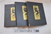 藏品(《中國十九二十世紀歷史》)的圖片