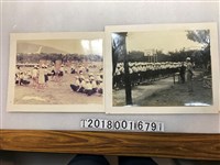 藏品(成淵學生團體活動照片)的圖片