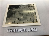 藏品(南門國中泳池戲水照片)的圖片