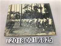 藏品(景美女高體育活動照片)的圖片