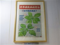 藏品(中國農村復興聯合委員會編印菸草鑲嵌病防治宣導海報)的圖片