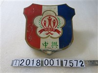 藏品(教育部頒發全民運動鐵牌)的圖片