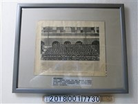 藏品(臺灣總督府國語學校公學師範部乙科及國語部畢業紀念照片)的圖片