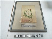 藏品(日本精糖包裝袋)的圖片