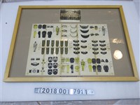 藏品(？潭派出所慶祝民國四十年元旦合影照片與戰後初期臺灣警察服飾徽章識別圖)的圖片