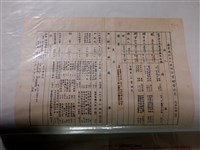 藏品(張忠楊景周陳雲如共同出資開墾收支表)的圖片