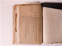 藏品(臺灣地方選舉相關資料及高雄政經相關文件資料)的圖片