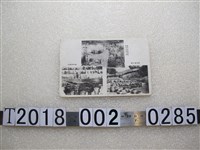 藏品(南投相關產業明信片)的圖片