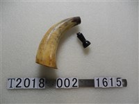 藏品(竹製牛角號)的圖片