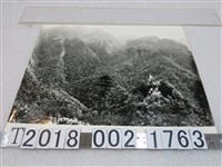 藏品(第一個農村革命根據地江西省寧岡縣井岡山照片)的圖片