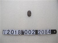 藏品(第四九五號內臟檢查證)的圖片