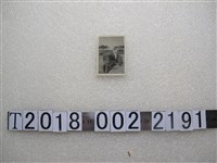 藏品(曳引機駕駛照)的圖片