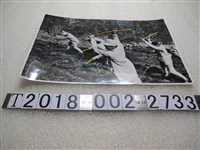 藏品(軍隊開荒照片)的圖片