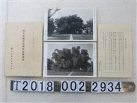 藏品(臺灣製糖株式會社製皇太子殿下行啟紀念明信片與相關背景)的圖片