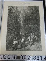 藏品(《倫敦新聞畫報》1890年5月3日版臺灣竹林一景)的圖片