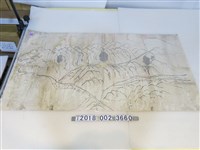 藏品(〈南投郡坑附近地圖〉)的圖片