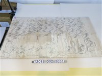 藏品(〈臺灣中部東部地區局部山脈地圖〉)的圖片