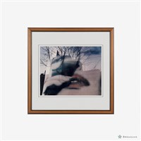 藏品(城市之幻)的圖片