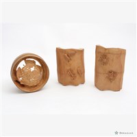 藏品(蛻變)的圖片