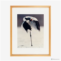 藏品(丹頂鶴(二))的圖片