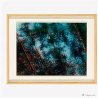 藏品(作品名稱 左鎮/大坪崙)的圖片