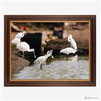 藏品(黑面琵鷺與白鷺鷥)的圖片