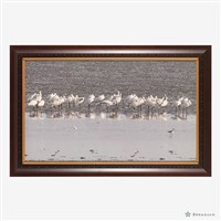 藏品(黑面琵鷺休息中)的圖片