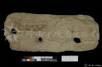 藏品(三孔石件)的圖片