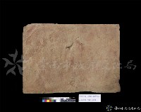 藏品(磚塊17)的圖片