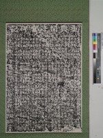 藏品(重興開隆宮碑記拓本)的圖片