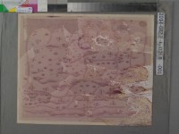 藏品(蔣元樞建設台邑望樓圖說相片)的圖片