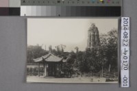 藏品(雷峰塔相片	 	)的圖片