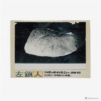 藏品(左鎮人頭骨殘片圖)的圖片