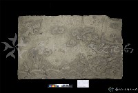 藏品(海屋添籌石刻)的圖片