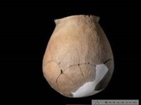 藏品(陶罐大湖文化-蔦松早期)的圖片