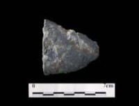 藏品(磨製石刀大湖文化)的圖片