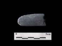 藏品(穿孔石刀大湖文化)的圖片