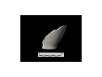 藏品(白色罐（安平壺）  17th  福建邵武窯等)的圖片