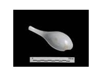 藏品(白瓷匙  清中晚期  福建廣東窯系)的圖片