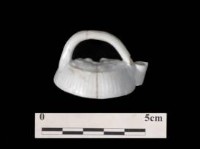 藏品(白瓷水注  清福建廣東窯系)的圖片